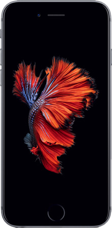 iPhone6s-SpaceGray