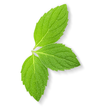 Herbal Essences ingredient picture