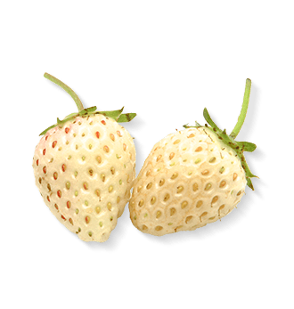 Herbal Essences ingredient picture