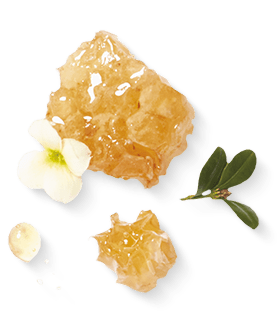 Herbal Essences ingredient picture