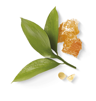 Honey cubes with green leaves