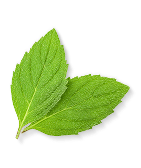 Herbal Essences ingredient picture