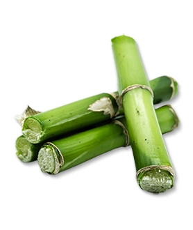 Herbal Essences ingredient picture