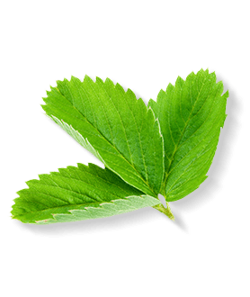 Herbal Essences ingredient picture