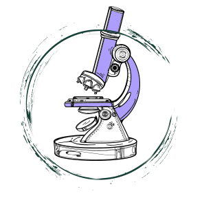 Herbal Essences ingredient picture