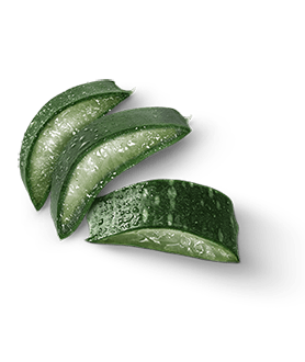 Herbal Essences ingredient picture