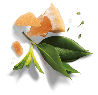 Cut pieces of white grapefruit with green leaves