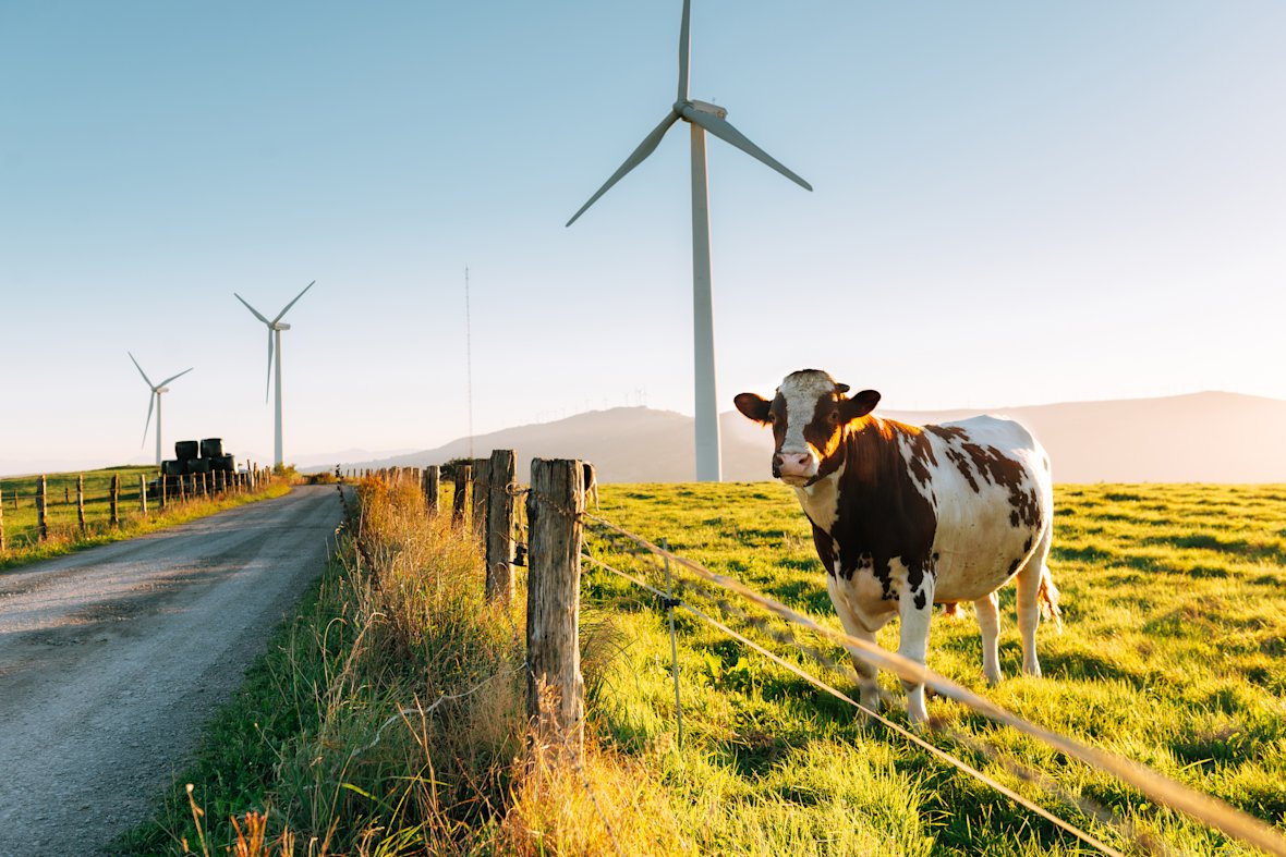 Nachhaltigkeitsstrategien