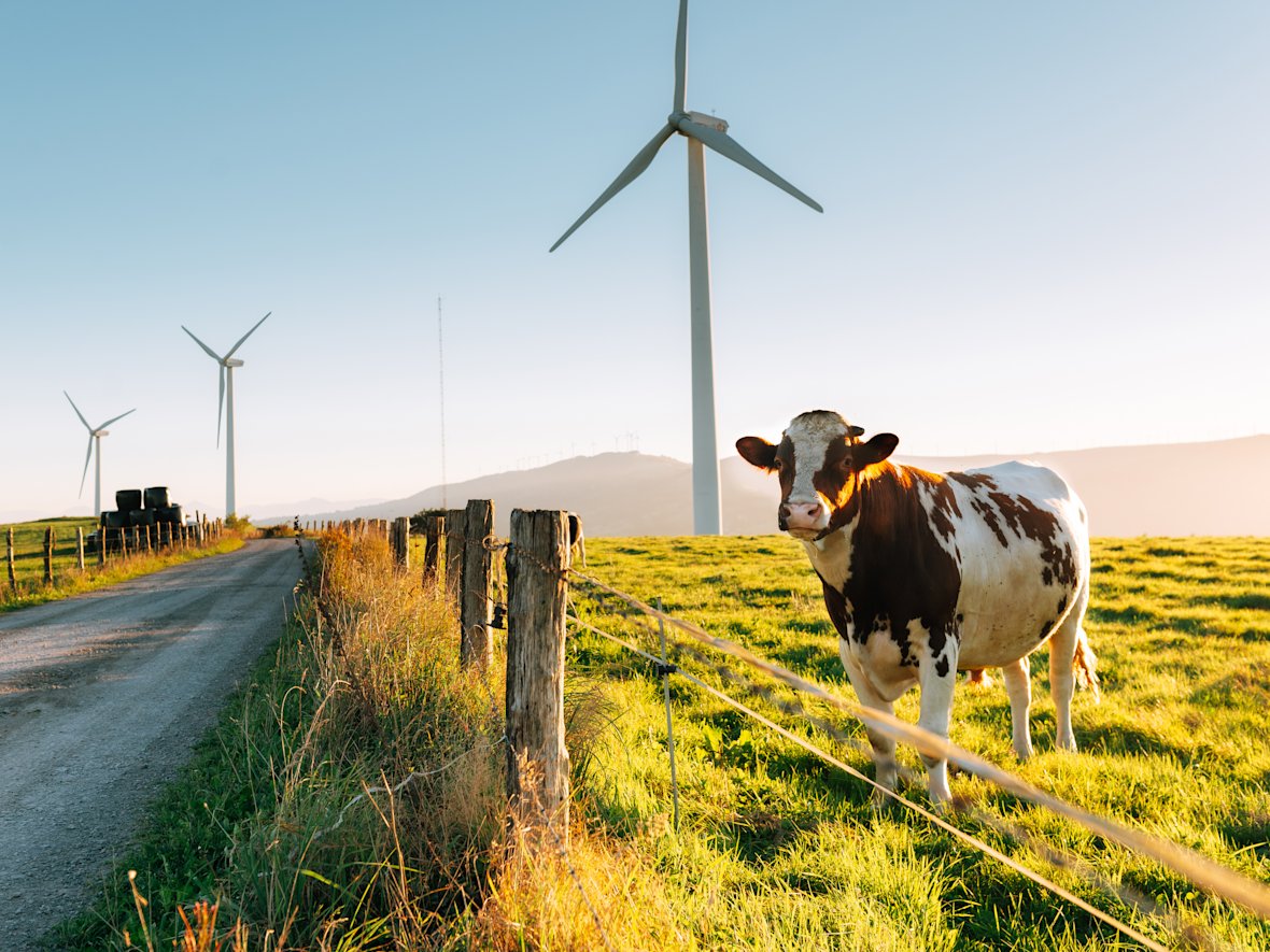 Nachhaltigkeitsstrategien
