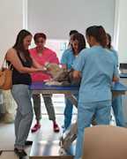 Nutrizione dr. Fusi - ph Albanesi Elisa (4)