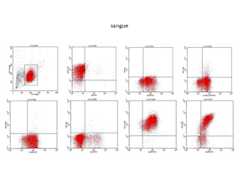 Servizio di Citofluorimetria Diagnostica di Laboratorio - sangue