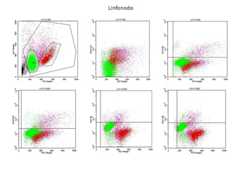 Servizio di Citofluorimetria Diagnostica di Laboratorio - linfonodo