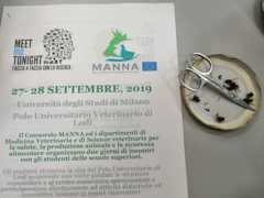 MMT 2019 27-28.10 (33)