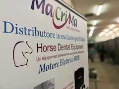 Equine Dentistry Course