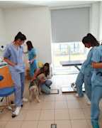 Nutrizione dr. Fusi - ph Albanesi Elisa (6)