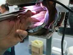 Equine Dentistry Course