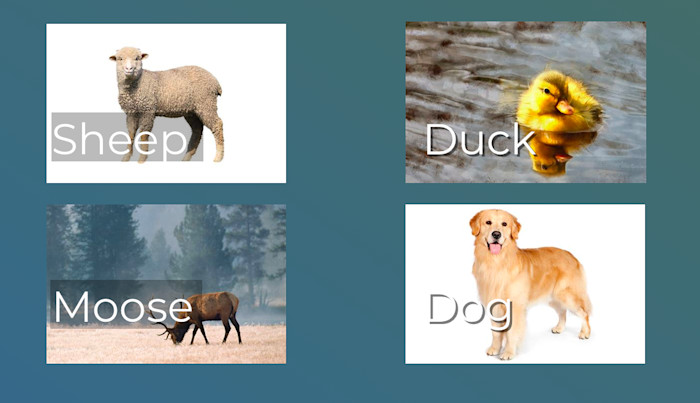 Example of variable backgrounds with text.