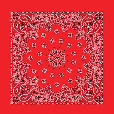 Hav-A-Hank Paisley Bandana - Red, 22" W x 22" L