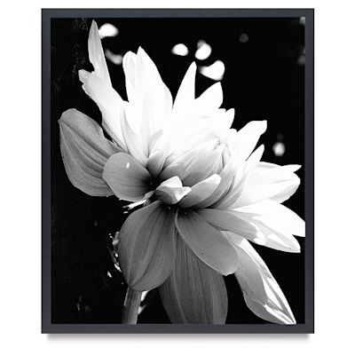 Nielsen Bainbridge Tribeca Poster Frame - Black frame with picture of flower