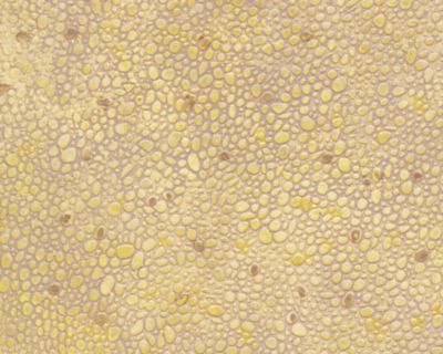 Plastruct Patterned Sheets, Random Polished Stone, 1:200 Scale (finished example)