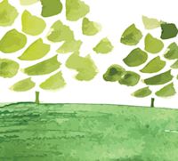 sustainable-products