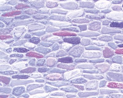 Plastruct Patterned Sheets, Field Stone, 1:48 Scale (finished example)
