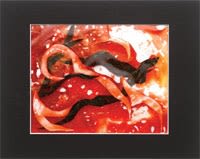 insoluble paintings insoluble paintings