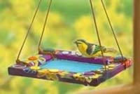 fauvism is for the birds fauvism is for the birds