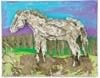 butterfield horse butterfield horse