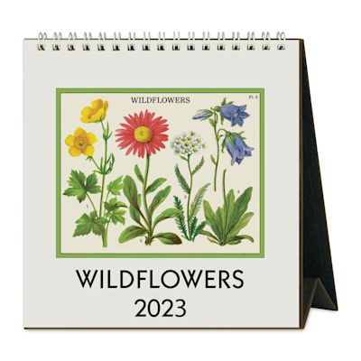 Cavallini 2023 Desk Calendar - Wildflowers (Front cover)