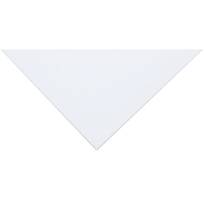 Savage Economy Matboard - Pkg of 25, 32" x 40", White