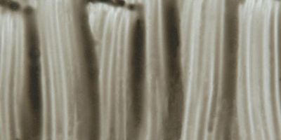 Pebeo Porcelaine 150 Paint - Pewter, Opaque, 45 ml bottle