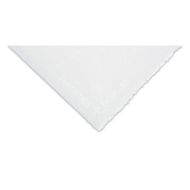 Fabriano Artistico Extra White Watercolor Paper Fabriano Artistico Extra White Watercolor Paper