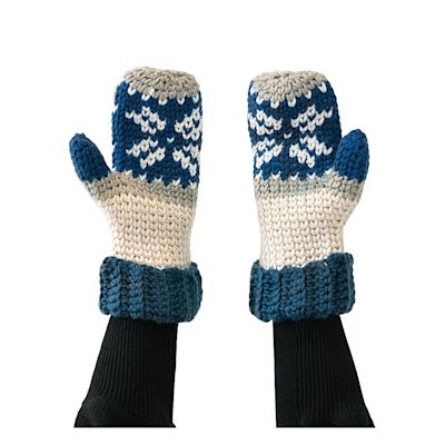 Caron Pantone Yarn (Mittens)