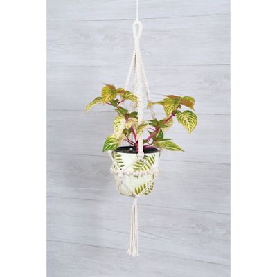 Solid Oak Make-ramé Macramé Large Beaded Plant Hanger Kit