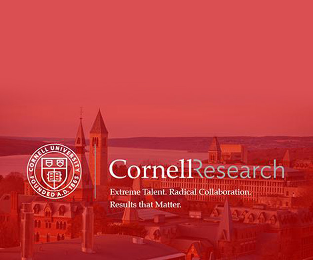 TRI Funds Cornell University Clean Energy Materials Research