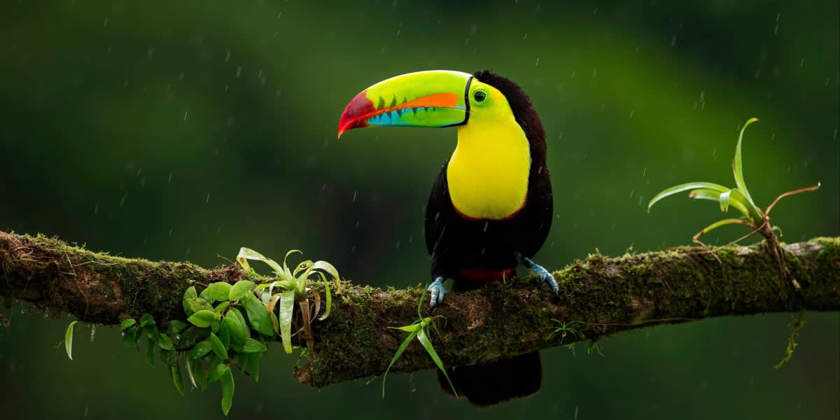 zdenek-machacek-jfWHzG7gIRw-unsplash (1) (1)