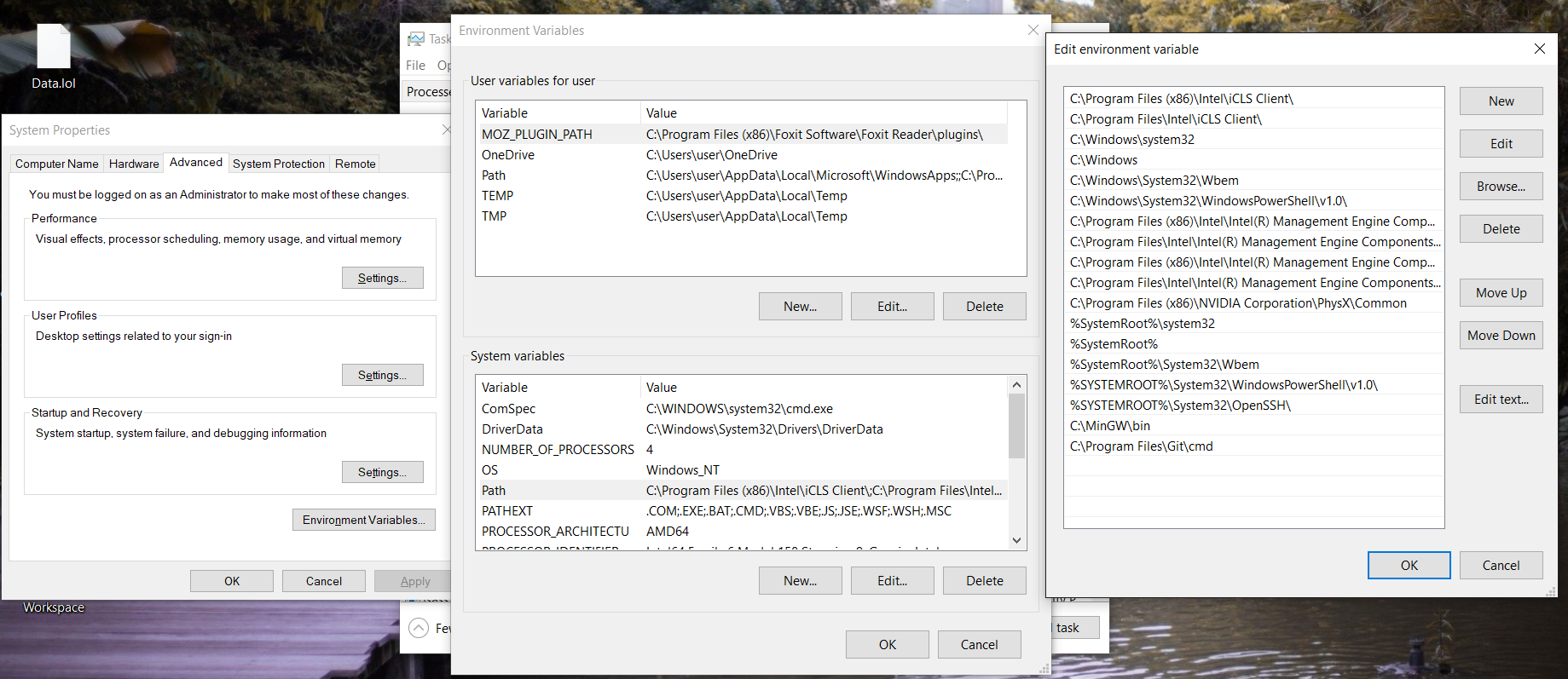 ENV WIN10