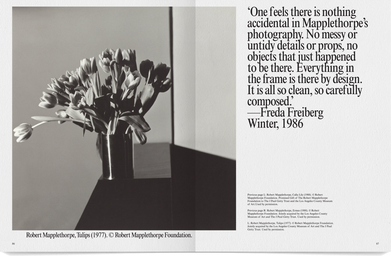 lost-art-photofile-robert-mapplethorpe-chris-hopkins-design