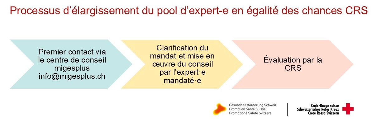 Kurzprozess Expert-innen Pool Chancengleichheit SRK GFCH FR