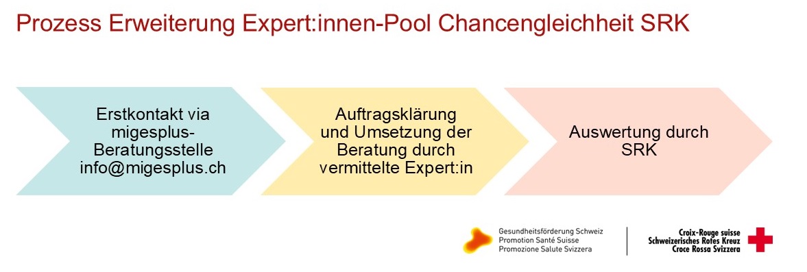 Kurzprozess Expert-innen Pool Chancengleichheit SRK GFCH DE