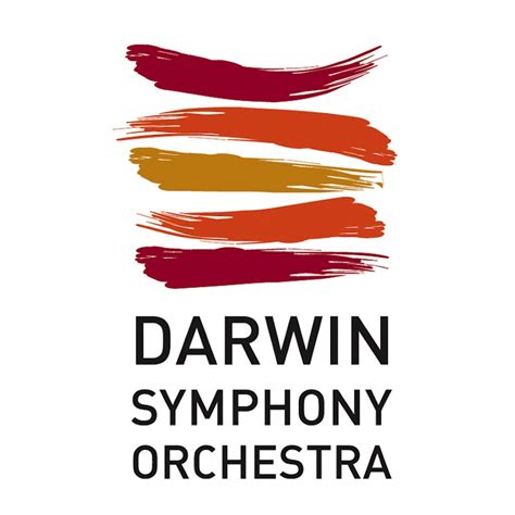 Darwin Symphony Orchestra