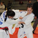 Bild Judo