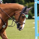 Bild Moderner Fünfkampf