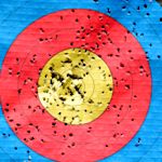 Bild Sportschießen und Bogensport