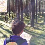 Bild Präzisionsorientieren