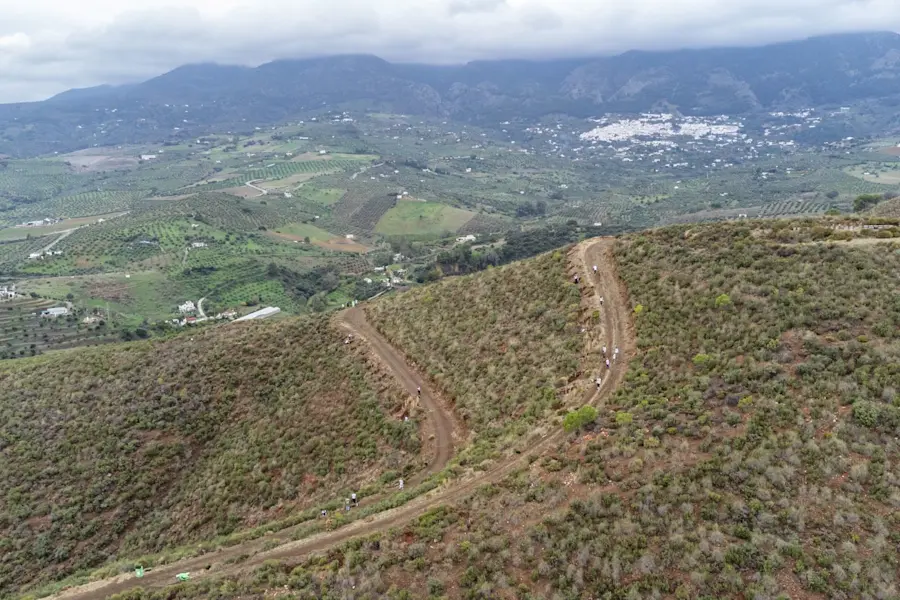 Plantering av Fastighetsbyrån-skogen