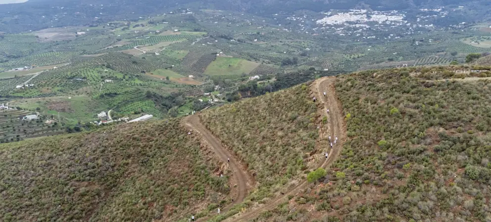 Plantering av Fastighetsbyrån-skogen