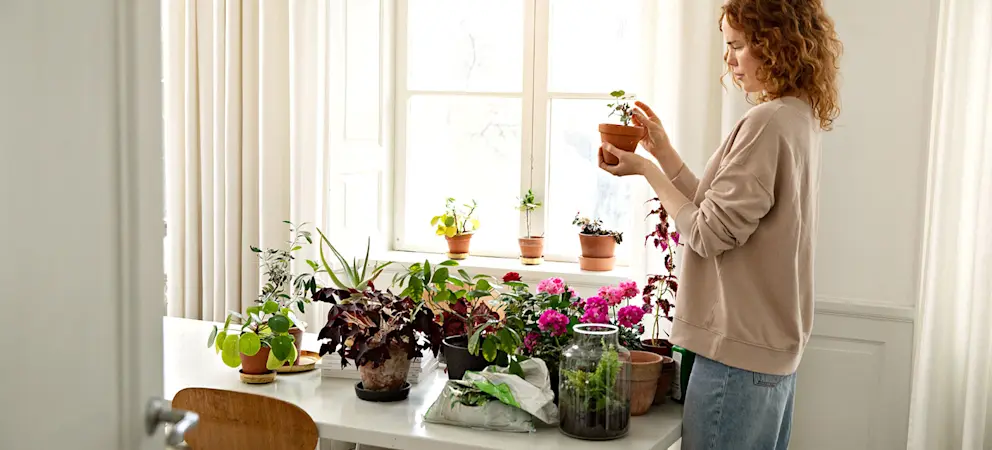 plantering styling inredning blommor
