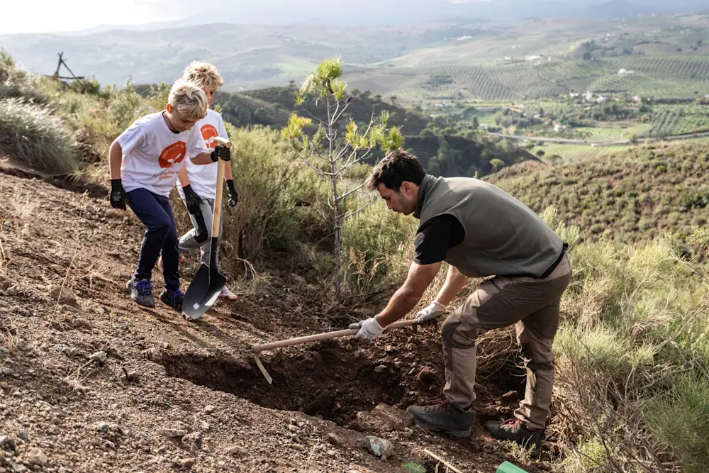 Plantación de árboles en Casarabonela, Málaga.